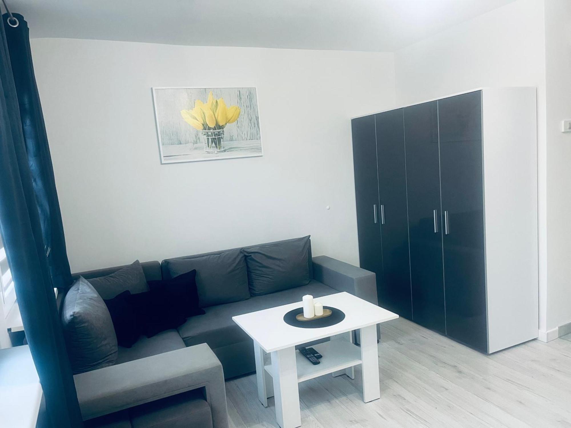 Silver Apartament Katowice Buitenkant foto